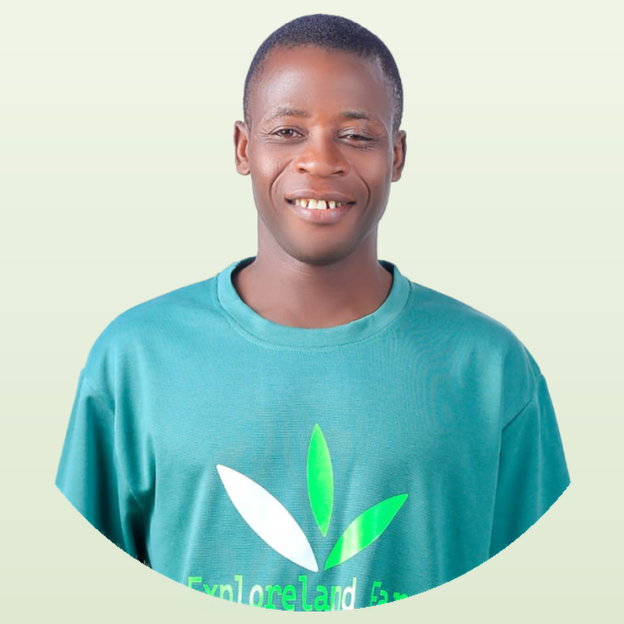 Aluko Babatunde