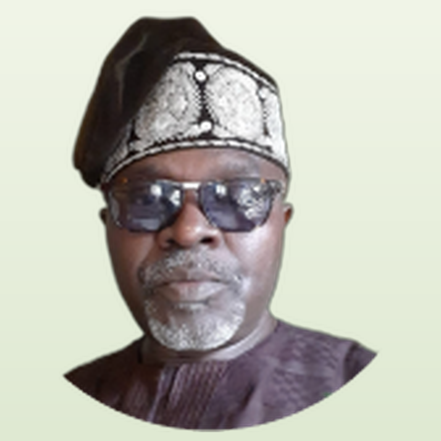 Aofolajuwonlo Babatunde, HON-Executive USA